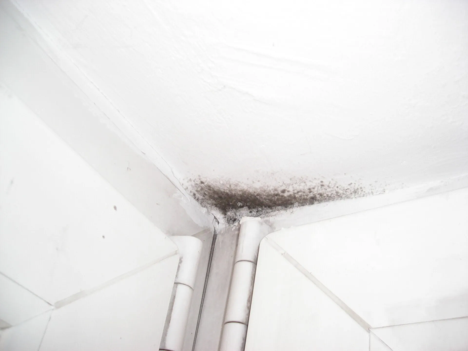 Taches noires de moisissure dans l'angle d'un plafond blanc, au-dessus d'un encadrement de porte